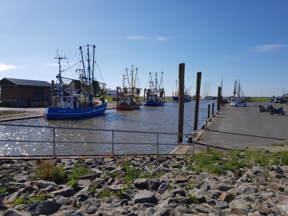 Kutterhafen Dorum-Neufeld bei Flut